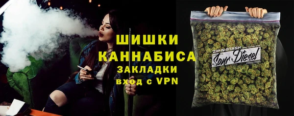 соль ск Алзамай