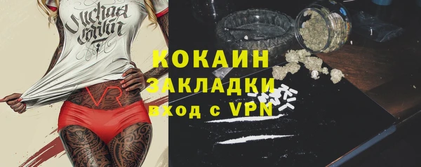 соль ск Алзамай