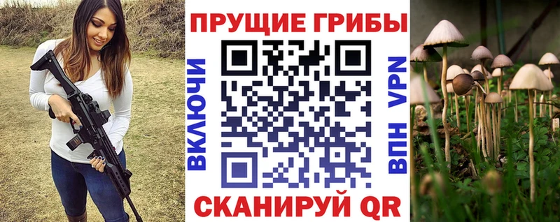 купить  цена  Железногорск-Илимский  Псилоцибиновые грибы MAGIC MUSHROOMS 